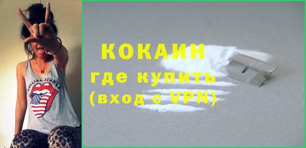 кокс Алексин